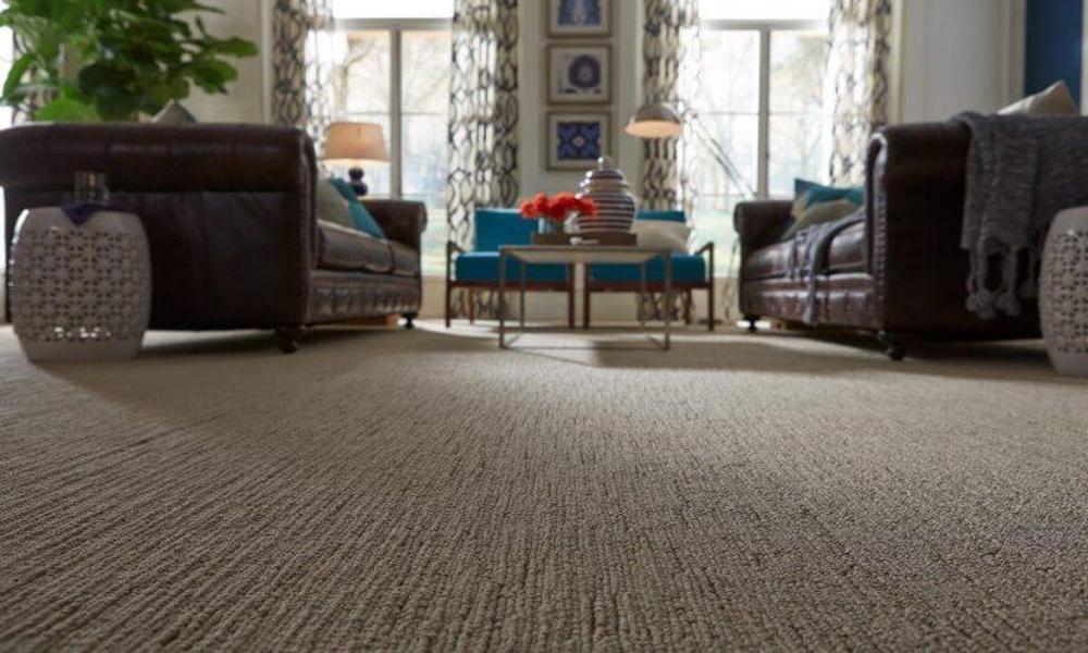 Wall-to-Wall Carpets, The New Home Decor Trend