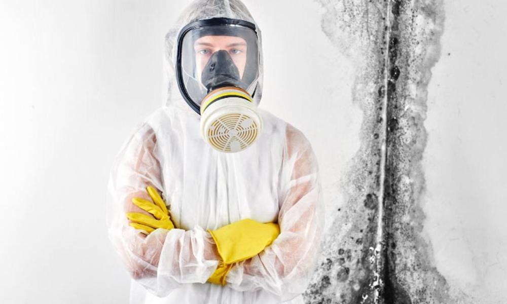 How to Stay Safe: A Comprehensive Look at PPE for Mold Removal