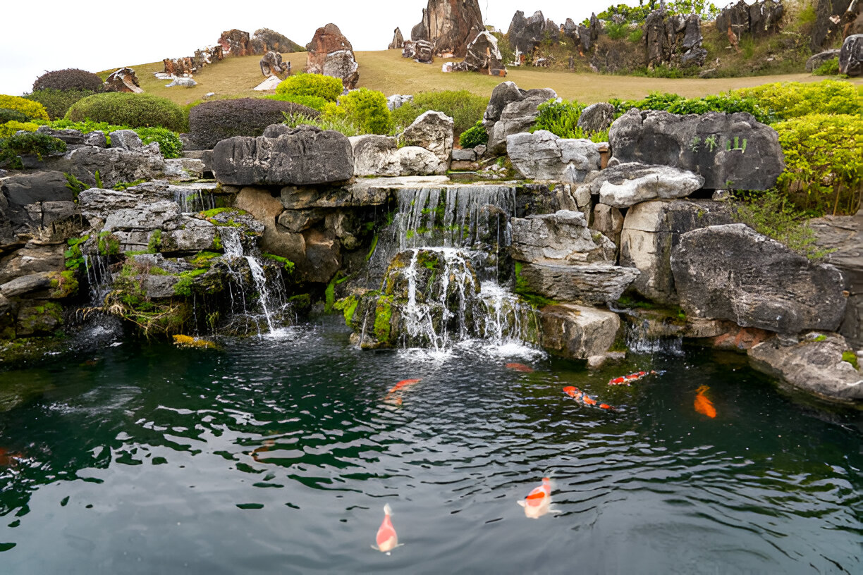 A Guide to Choosing the Best Koi Pond Liner for Your Water Feature