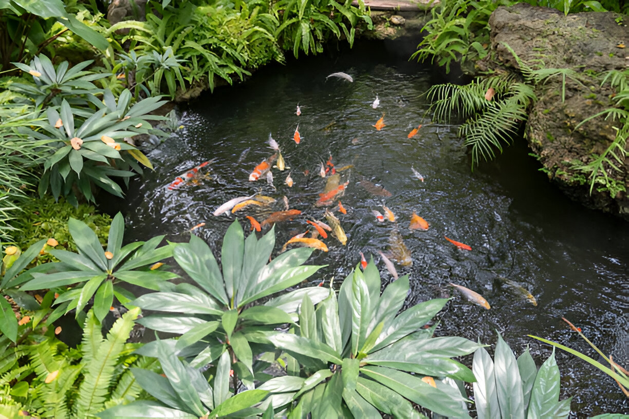 pond liner