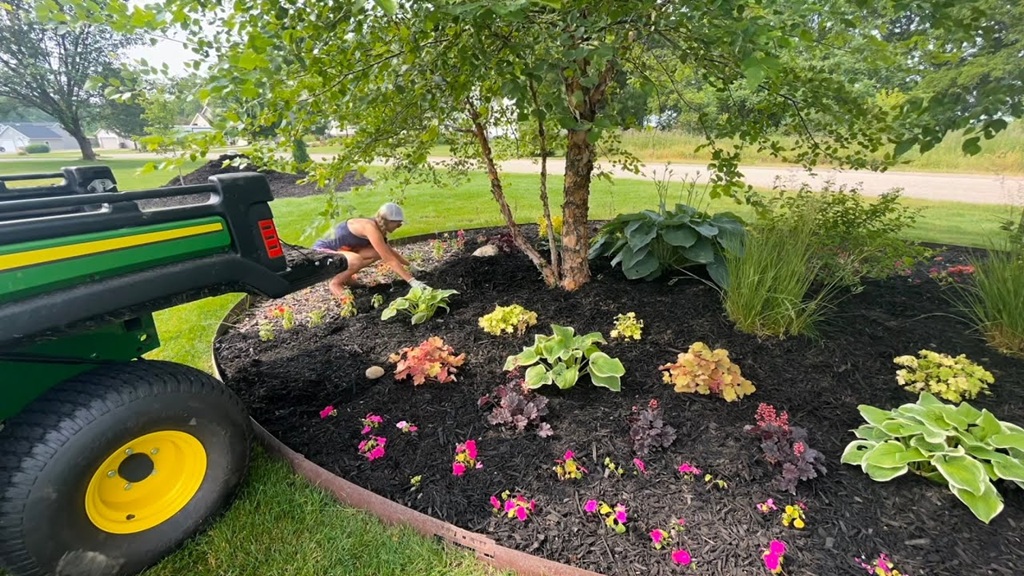 Black Mulch Landscaping Ideas: Why Choose It For A Residential Home?