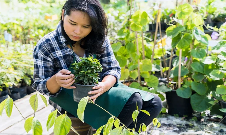 I’m Sorry Flowers: How to Protect Them from Common Garden Pests
